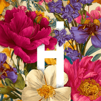Hanoon London || Authentic Décor, Fashion, Lifestyle & Design profile picture
