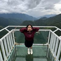 Meg Disca profile picture