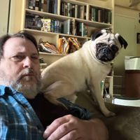 Mark Tweedy profile picture