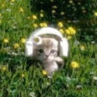Hailey profile picture