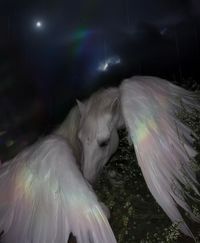 Queeniie profile picture