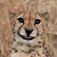 Kasandra Jaime profile picture