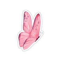Lia. profile picture