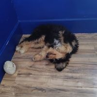 Keith T profile picture