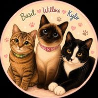 Anna & friends 🐈☕️ profile picture