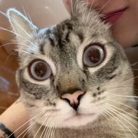 arielmtnzz profile picture