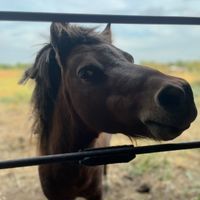 Chelsea Goad profile picture
