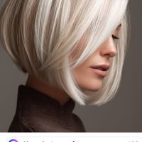 The Savvy Concierge profile picture