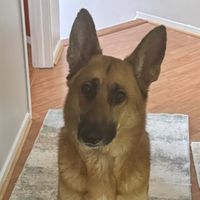 Jeann profile picture
