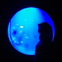 Alina Dewi profile picture