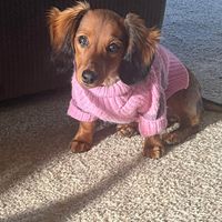 Jessica profile picture