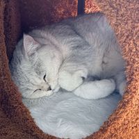 Gemma profile picture