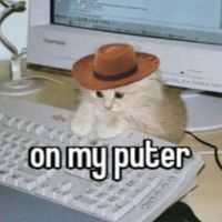 Ducky Momo profile picture