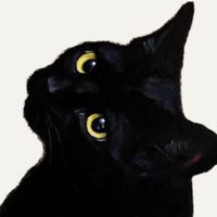 Salomee Abzhandadze profile picture