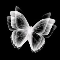 flutterstudio profile picture