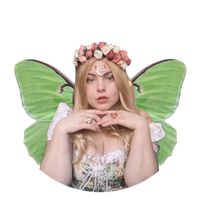 Chelsea Bednar profile picture