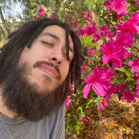Reed Abedlqhani profile picture