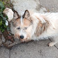cutethings profile picture