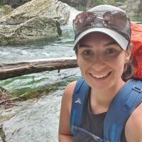 Casey Bradley profile picture