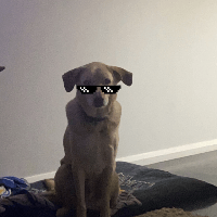 Lily profile picture