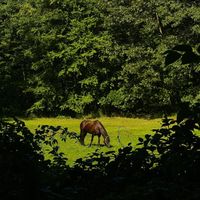 Makve profile picture