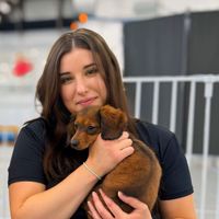Angelina profile picture