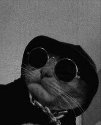 Naseera profile picture