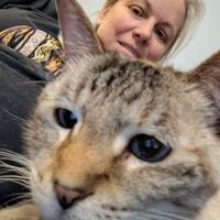 Conny profile picture
