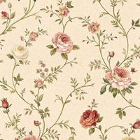 Connie profile picture