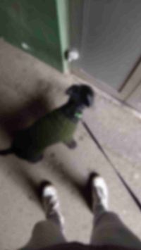 UltraLit profile picture