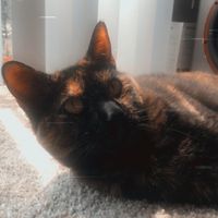 Molly Ewen profile picture