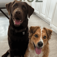 Moose and May profile picture