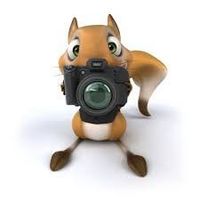 Shannon Bannerman profile picture
