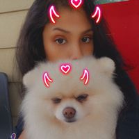 Dhairya Gupta profile picture