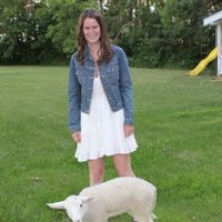 Katie Stewart profile picture