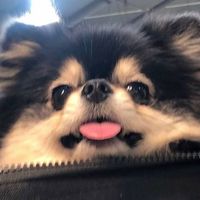 Bianca Marginean profile picture