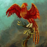 Stevan Vukomanovic profile picture