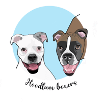 Hoodlum Boxers profile picture