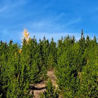 Robyn Jackson profile picture