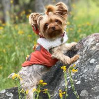 Zoey profile picture
