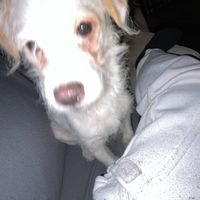 Donald Kelley profile picture