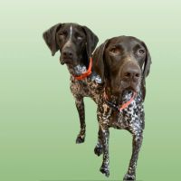 Bella & Chance profile picture