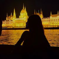 t profile picture