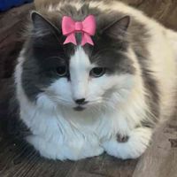 Jenna Per profile picture