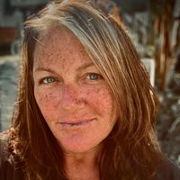 Dawn Blauvelt profile picture