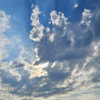 ♌Mer$adie❤️‍🔥 profile picture