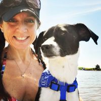 Anne Wittkowski profile picture