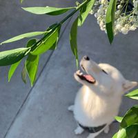 diana garcia profile picture