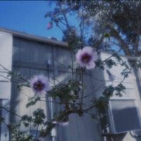 Renata profile picture