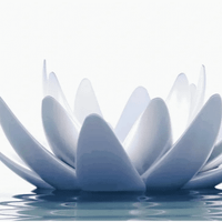 NARC Healing Garden profile picture